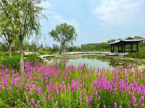 二号站平台资讯遇见数字化景区，紫光华智在北京「城市绿心森林公园」